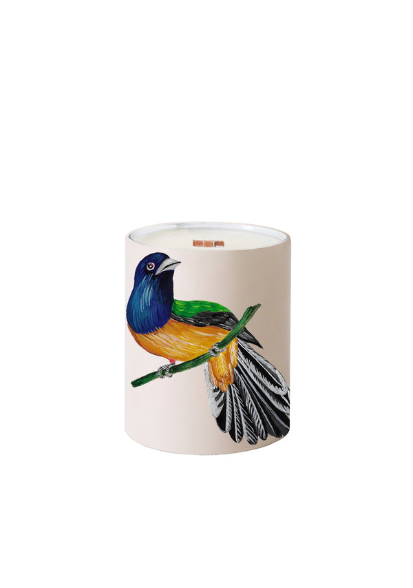 Bird and Olive Beige - Candle