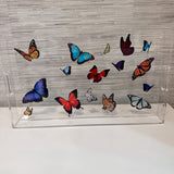 Acrylic - Butterflies Large Serving Tray