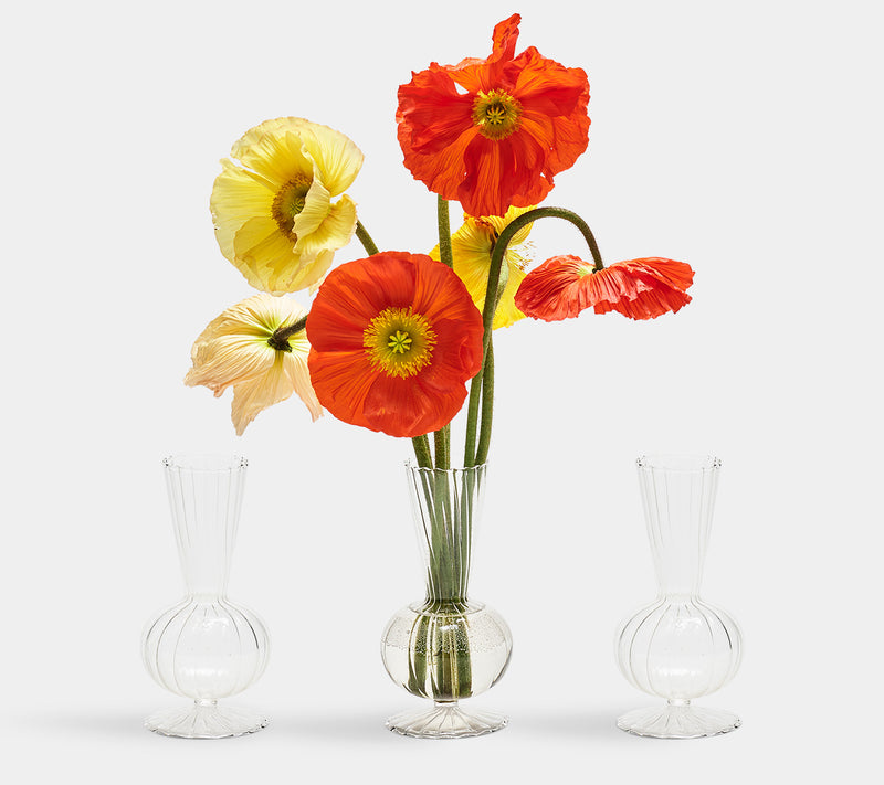 Tess Bud - Clear Vase (Set of 3)