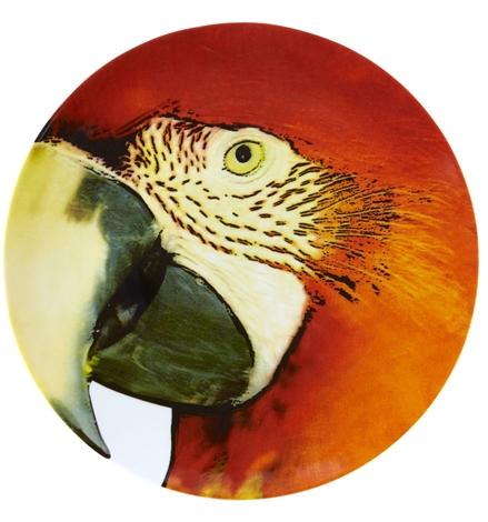Olhar O Brasil - Charger Plate Red Macaw