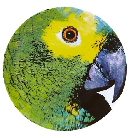 Olhar O Brasil - Charger Plate Parrot