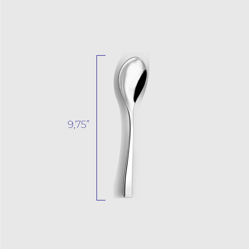 Steel - Stainless  Serving Spoon