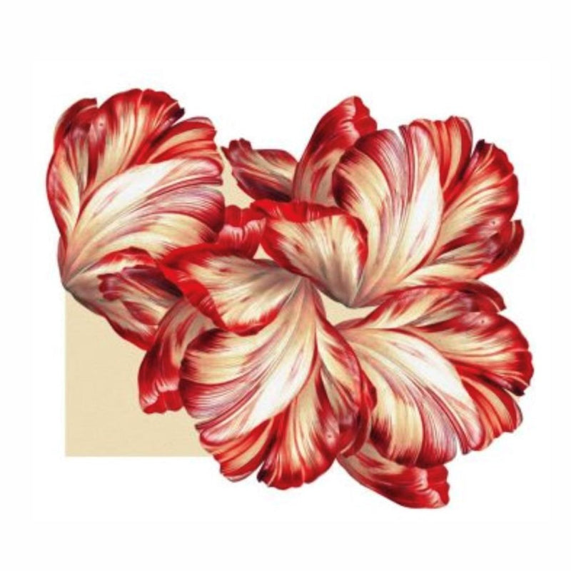 Tulipan - Placemats Red (Set of 2)