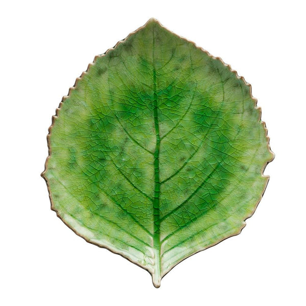 Riviera tomate - Big hydrangea leaf (Set of 6)