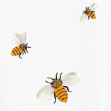 Bees - Hand Towel (Set of 4)