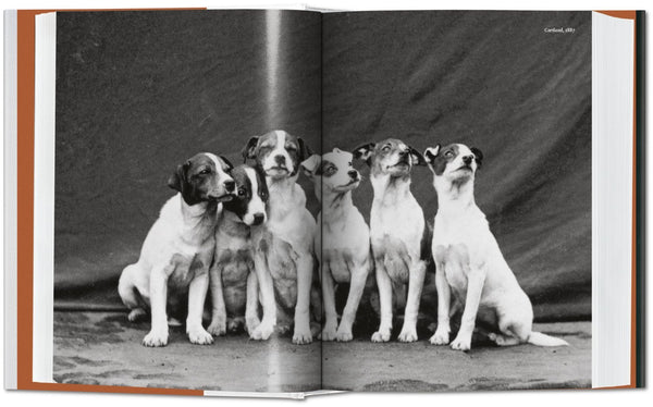 Book "The Dog in Photography 1839 - Today"