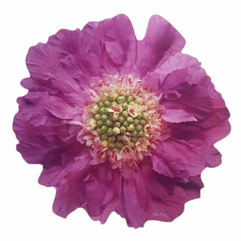 My Flowers - Placemats Purple (Set of 2)